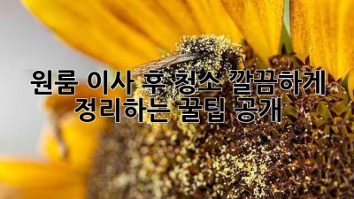 원룸 이사 후 청소🧹✨ 깔끔하게 정리하는 꿀팁 공개!