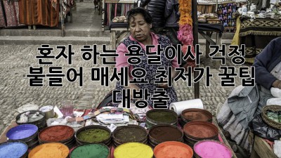 혼자 하는 용달이사? 걱정 붙들어 매세요! 최저가 꿀팁 대방출!