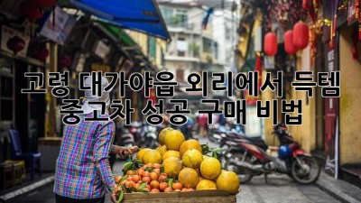 고령 대가야읍 외리에서 득템?! ✨ 중고차 성공 구매 비법!