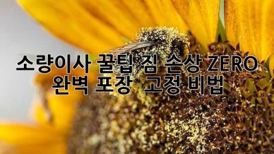 소량이사 꿀팁🍯 짐 손상 ZERO! 완벽 포장 & 고정 비법 🚚